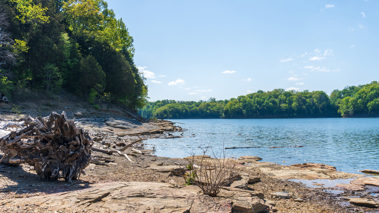 Cumberland River surrounded by greenery on a sunny day