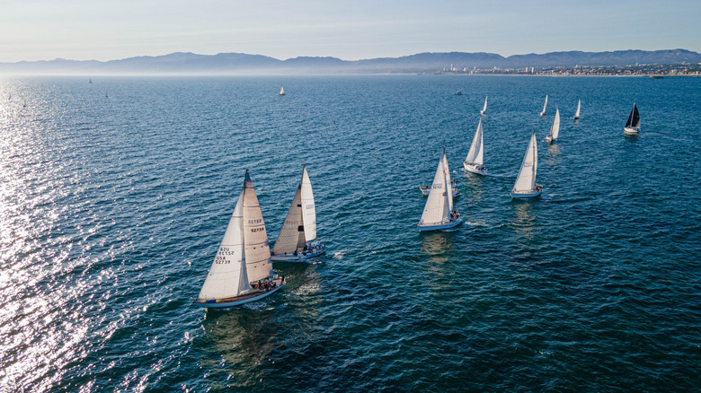 Marina del Rey sailing boats