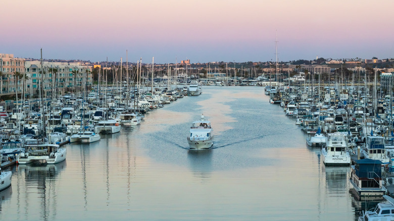 Marina del Rey boats on the water