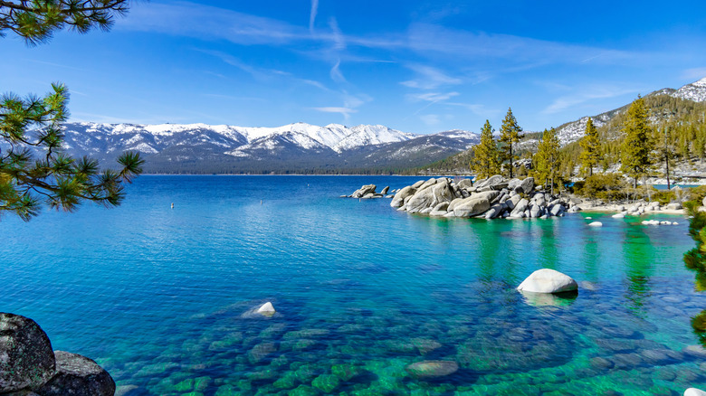 Lake Tahoe during the summer (California side)