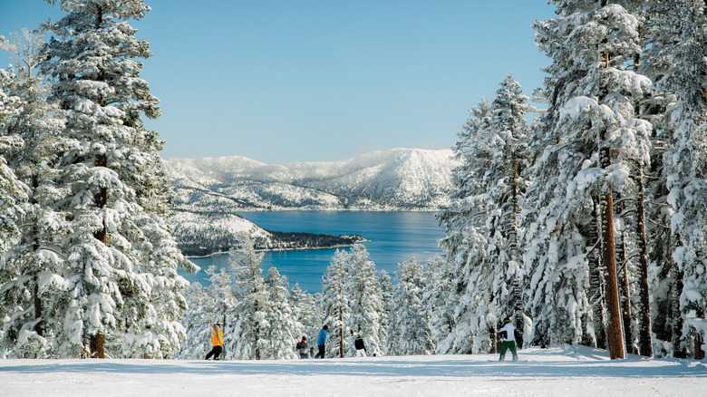 Skiing at Lake Tahoe in the winter