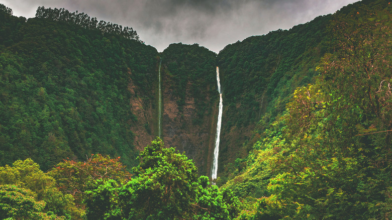 Hi'ilawe Waterfall Hawaii