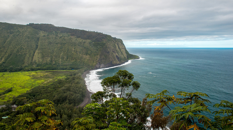 Waipi'o Valley lookout