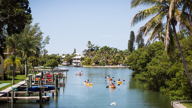 kayakers in Anna Maria Island