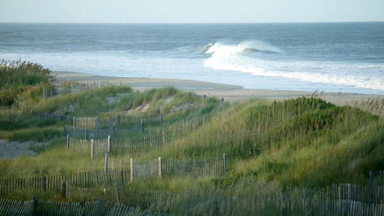 beach in Hatteras Island