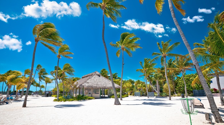 beach in Islamorada, Florida