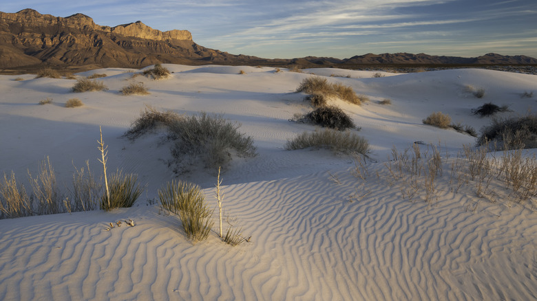 Dunes at Guadalupe Mountains park