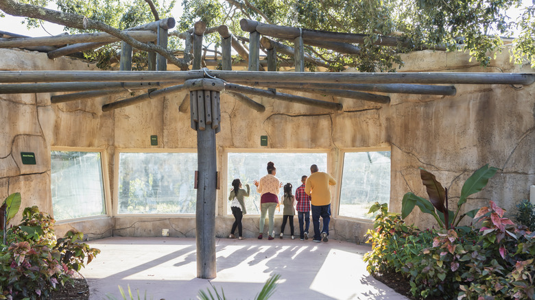 Family at zoo exhibit