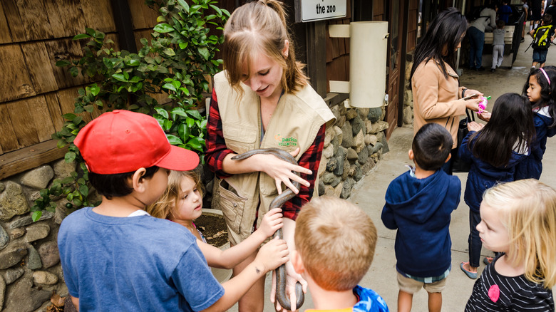 Snake at Orange County Zoo