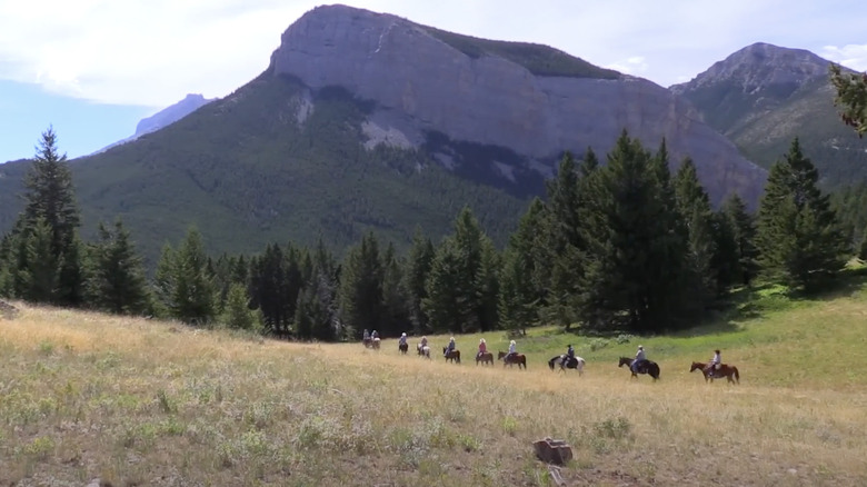 Horseback ride with mountains in the background