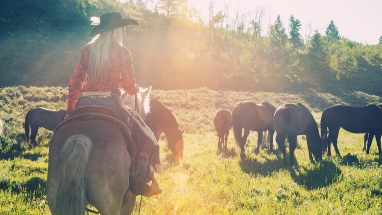 Woman riding a horse near grazing horses