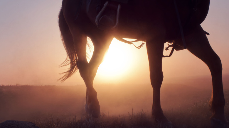 silhouette of a horse at sunset in Norco