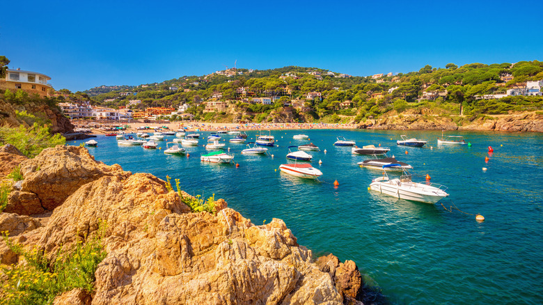 Boats anchored in a rocky beach cove.