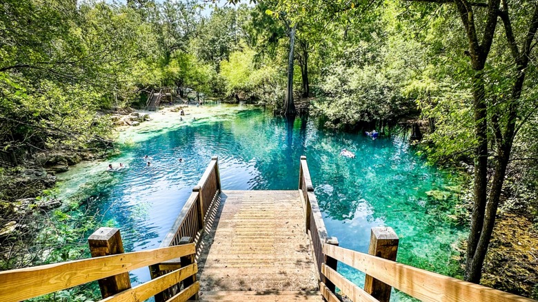 Jumping platform in Royal Springs Park in northern Florida