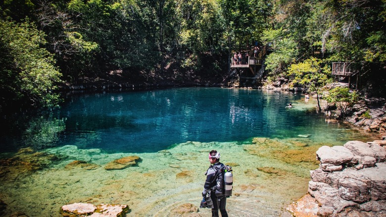 Royal Springs Park in Florida with scuba diver