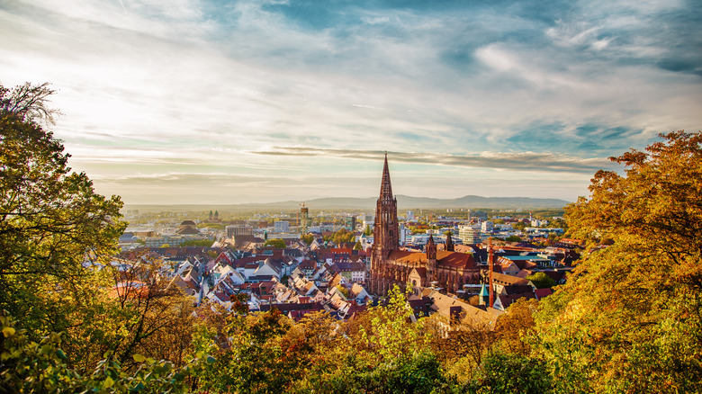 Freiburg set against the Black Forest