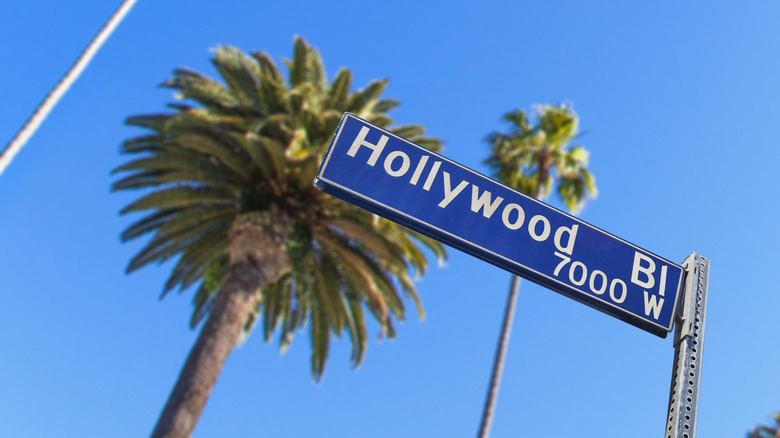 Hollywood Blvd street sign and palm trees