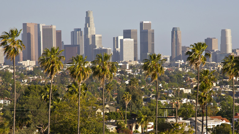 Los Angeles skyscrapers and palm trees