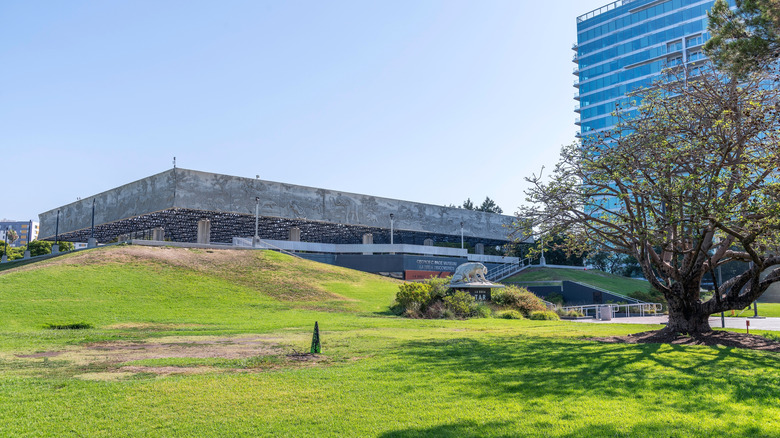 Exterior of the La Brea Tar Pits & Museum