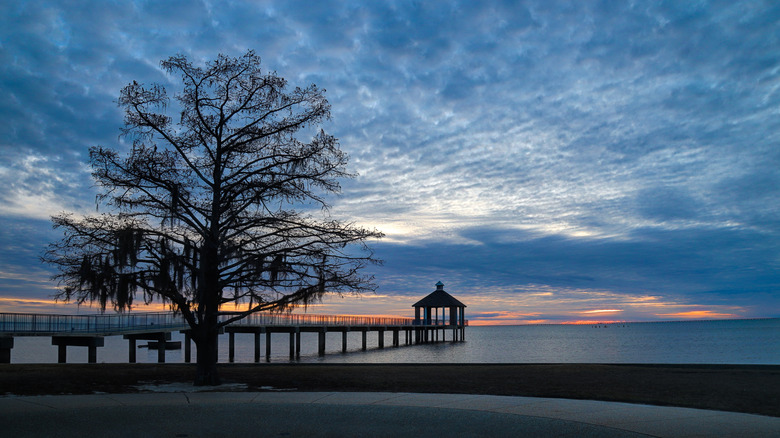 Fontainebleau State Park at dusk