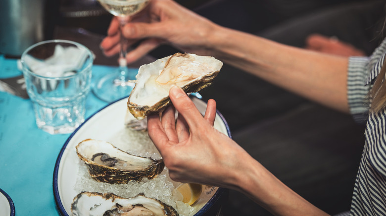 Shucked oysters on beds of ice in Maine