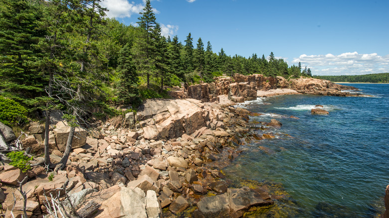 Coastline of Acadia National Park in Maine