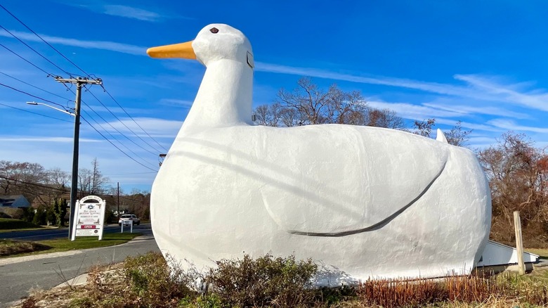 The Long Island Duck tourist attraction