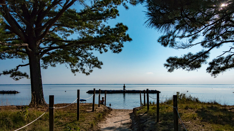 Path leading to waterfront in Point Lookout Park