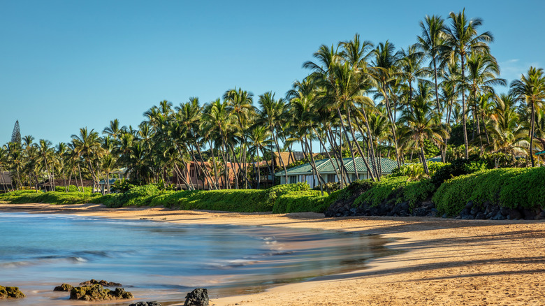 View of Keawakapu Beach fringed by palm trees in Hawaii