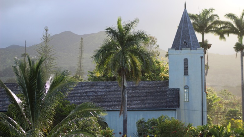 building surrounded palm trees