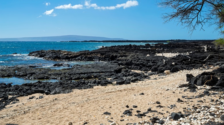 Lava rocks along La Perouse Bay