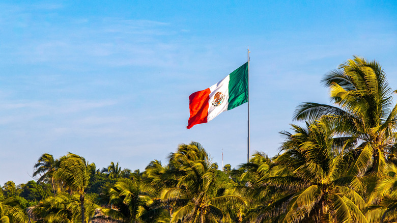 Mexican flag above palm trees