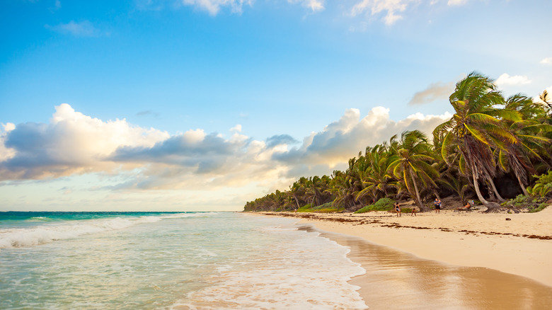 A beach in Tulum