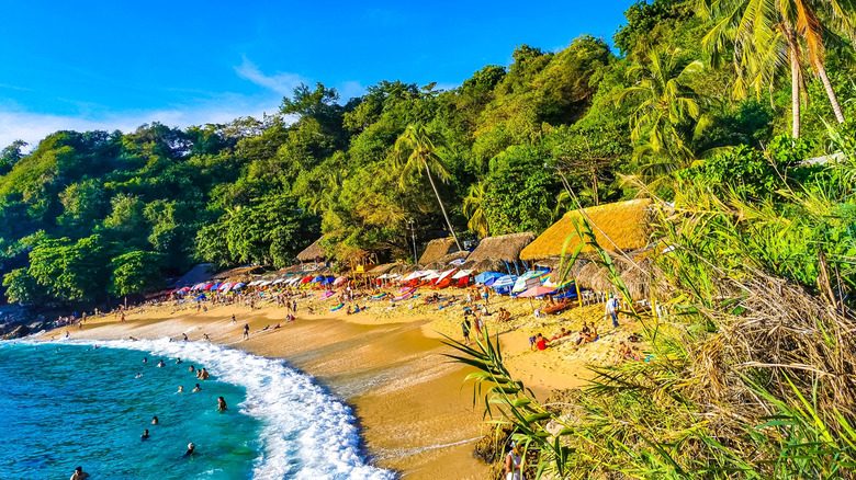 Playa Carrizalillo in Oaxaca