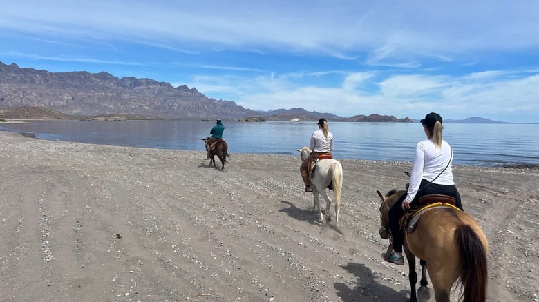 Horseback riding on Ligui beach