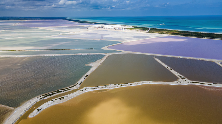 Multicolored salt flats