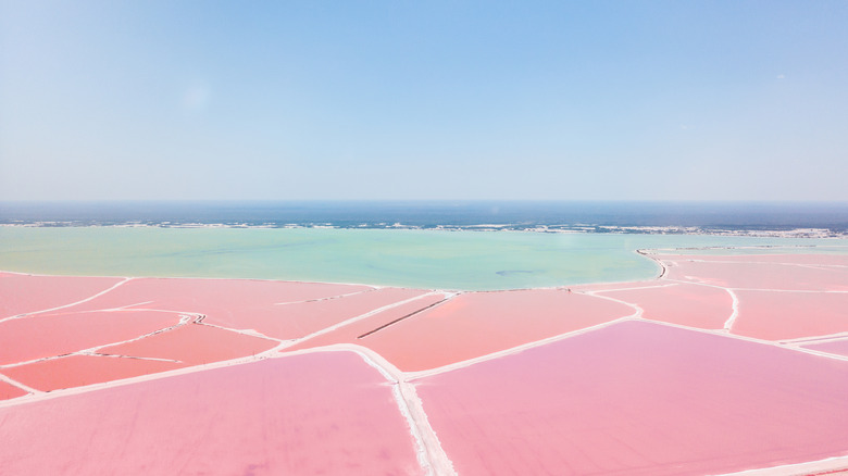 Pink salt flats and turquoise lagoons