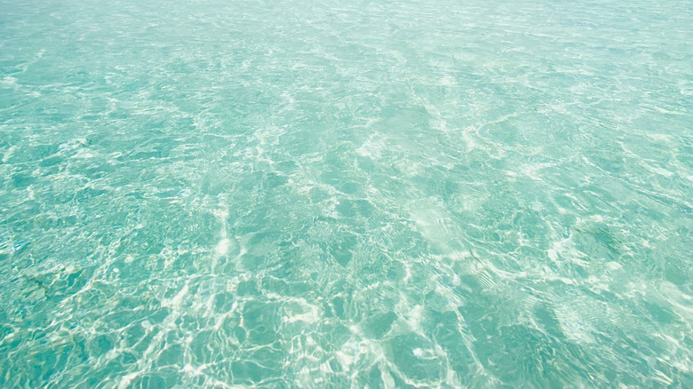 Crystal clear turquoise water in Cozumel.