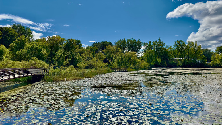 A park and lake in Mount Pleasant, Michigan