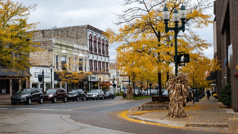 Street in Petoskey during fall