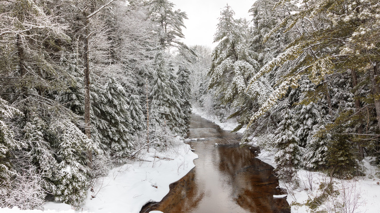 Winter landscape in the Upper Peninsula