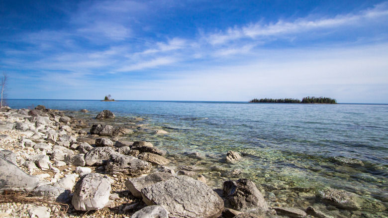 The shore of an island in Les Cheneaux