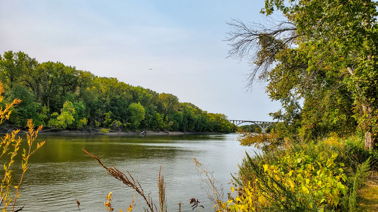 Calm wide river through the forest in Minnesota