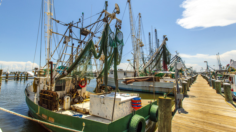 Docked boats at Pass Christian harbor