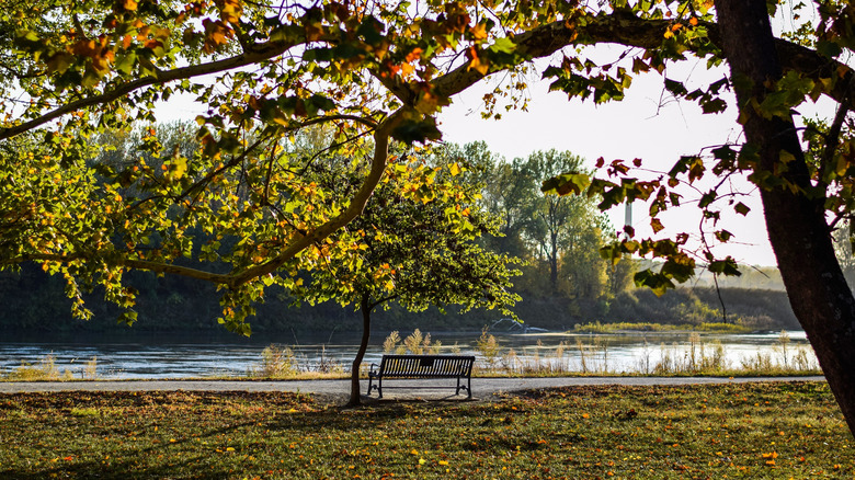 A bench in English Landing Park, Parkville, MO