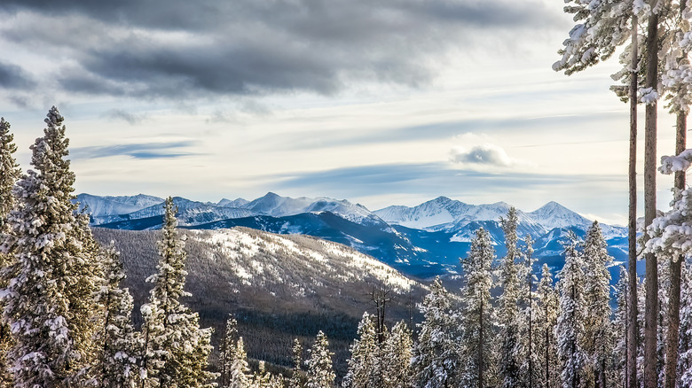 Snowy peaks and forests near Discovery Ski Area, Montana