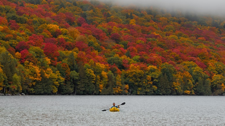 Lake Willoughby man kayaking