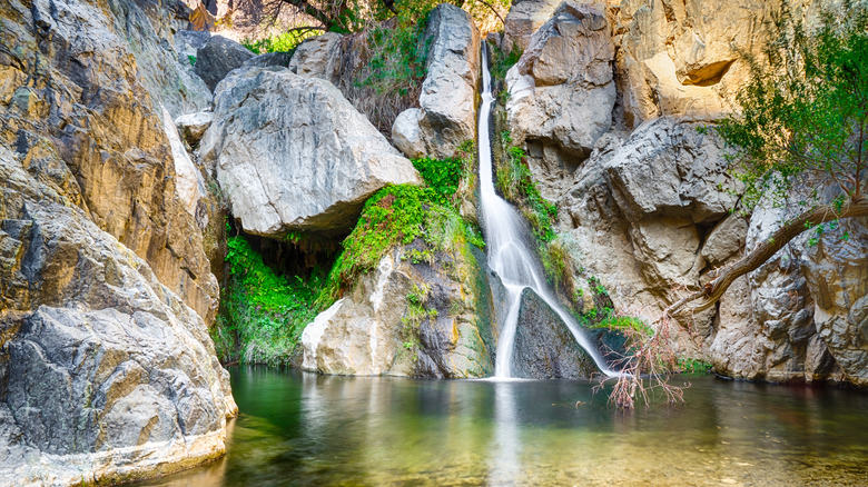 Darwin Falls at Death Valley National Park