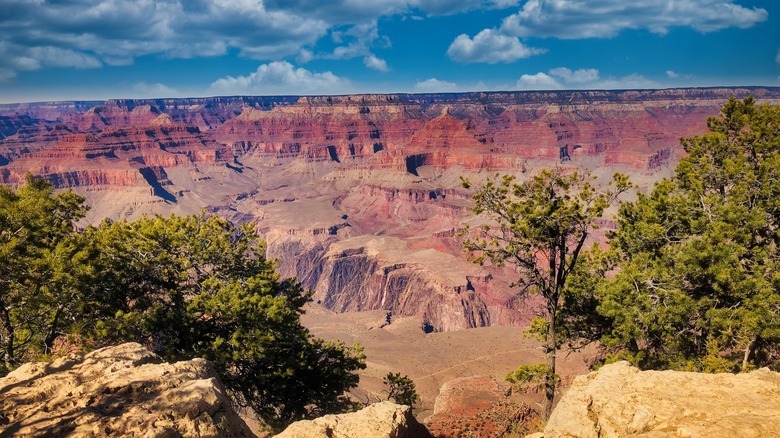 Grand Canyon National Park during the fall