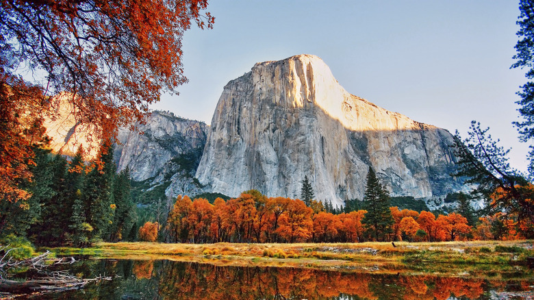 View of Yosemite National Park